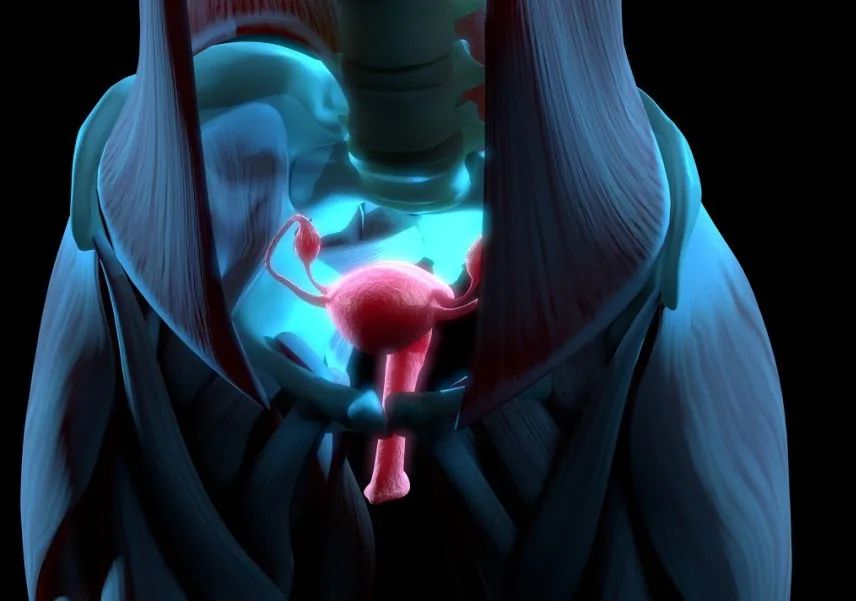 听说女人老了之后,子宫都会从下面"掉"出来?