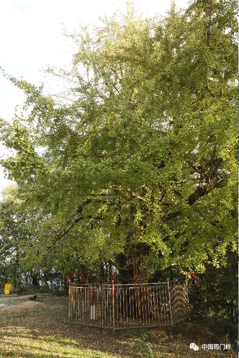 中国筠门岭:盘山赋