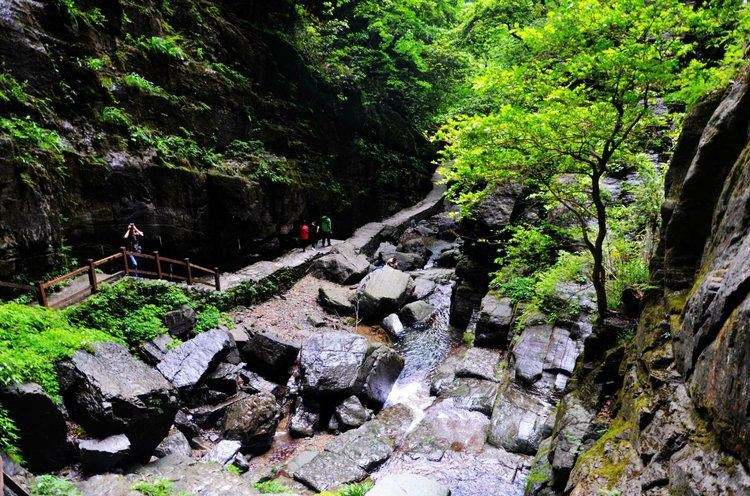 鹧鸪天-坪坝营景区