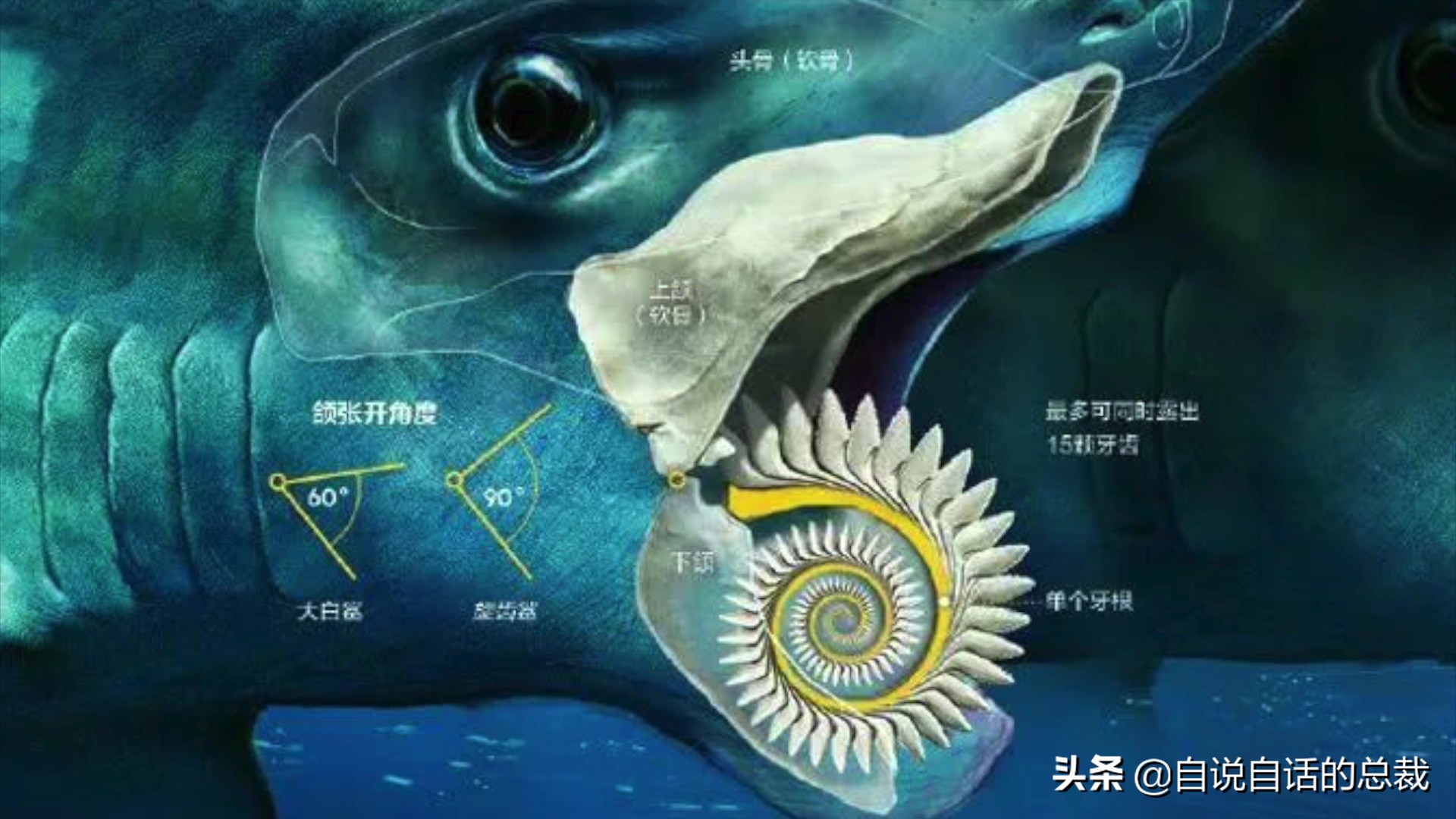 5种比巨齿鲨还恐怖的海怪，背后隐藏着一个人类起源的故事