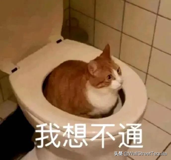 从娱乐圈到电竞圈，这个北大学姐有点性感