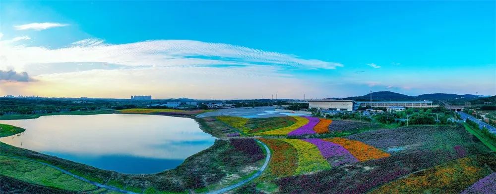 卧龙湖小镇 南京溧水卧龙湖小镇-徐拾记官网