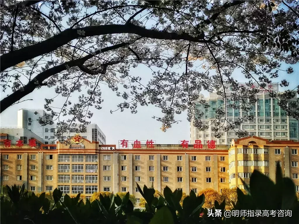 五所海军招生院校揭秘！想当海军军官的高考生看过来