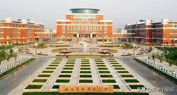 明明很硬核，却起了个野鸡名字的大学