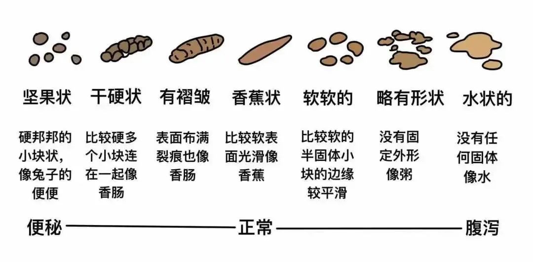 齿痕舌是内湿顽固的标志，教你4个方法，长期坚持消齿印