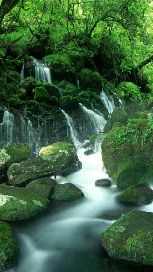 妈妈，我们总是把你藏在你的心里。