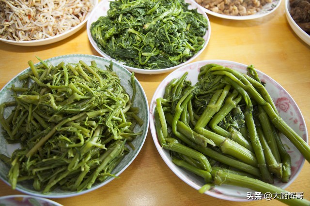 东北蒲公英（清明过后春季6种野菜莫错过）