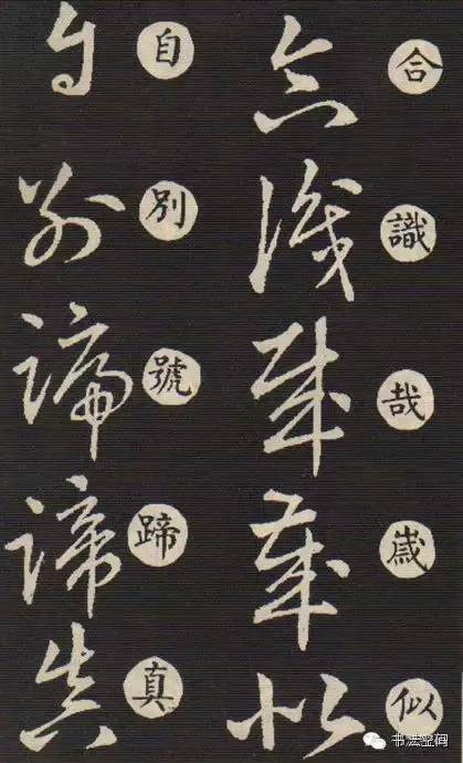 三(san)点水一个郭怎么读（三点水一个郭(guo)字）-第35张图片-大连信息网