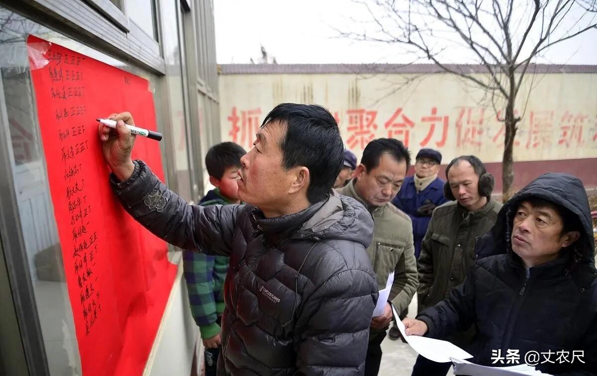 为何大学生村官不吃香？村干部选举“新年新规”，不只是任期延长