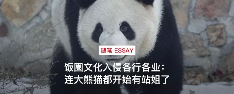 主裁满头是汗(你不知道的野球世界，在大学生和职业之外还有更厉害的篮球手)