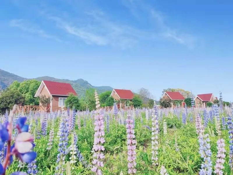 德安縣博陽河景區——永修縣鄱陽湖吳城候鳥小鎮景區,結束愉快的二日