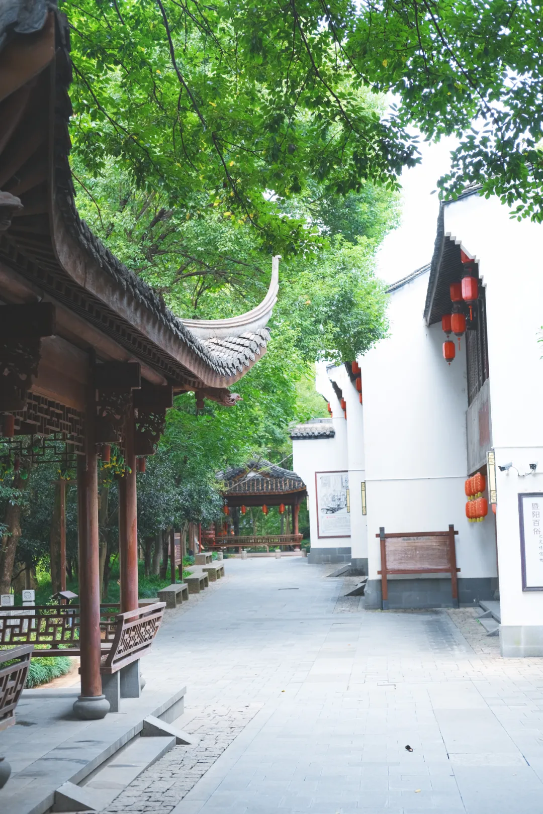 诸暨：碳水王国，浙江沙县