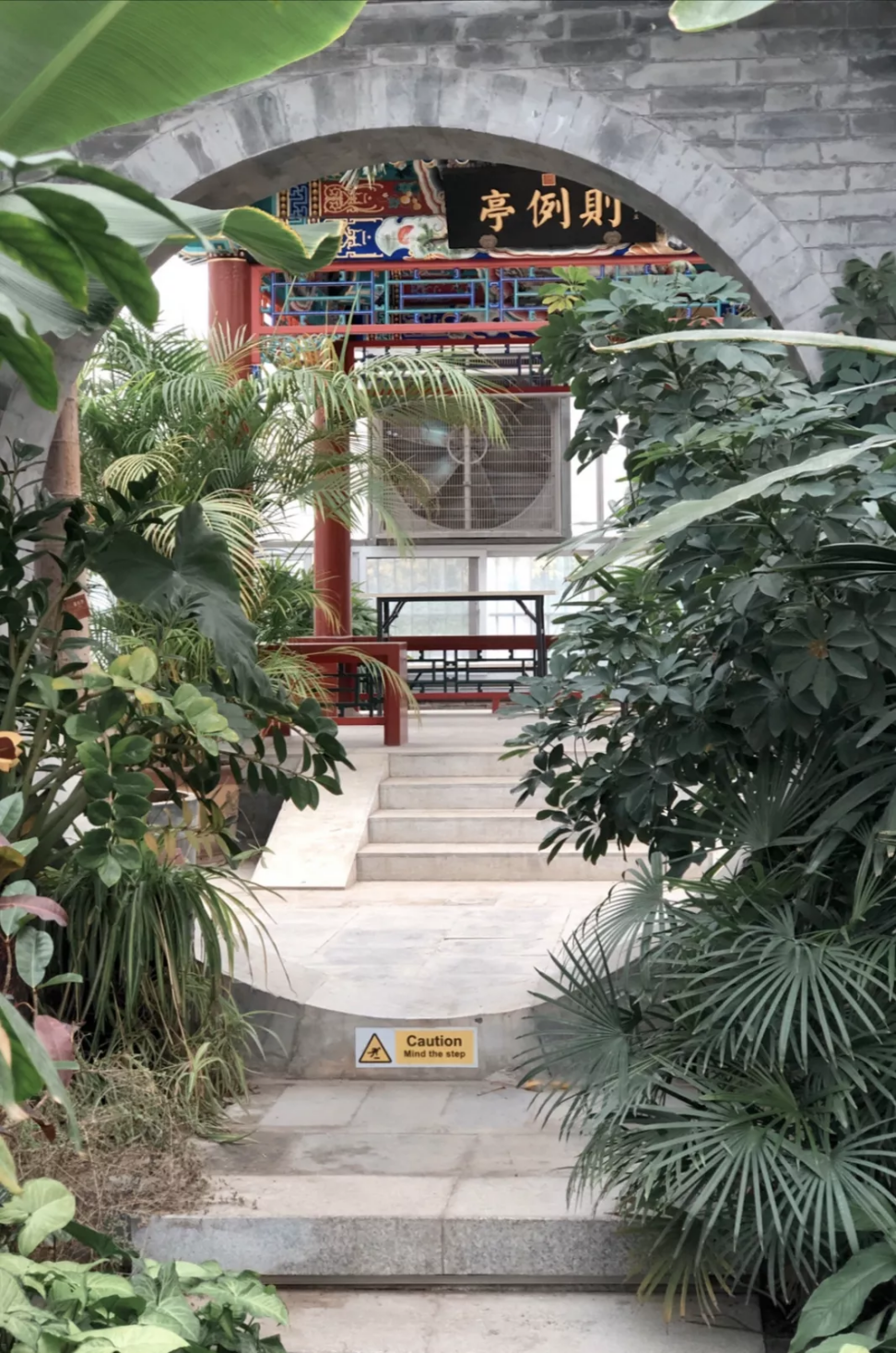 北京这个学校很“火”！坐拥3大花园、果园、动物园，集美貌与知识于一体！