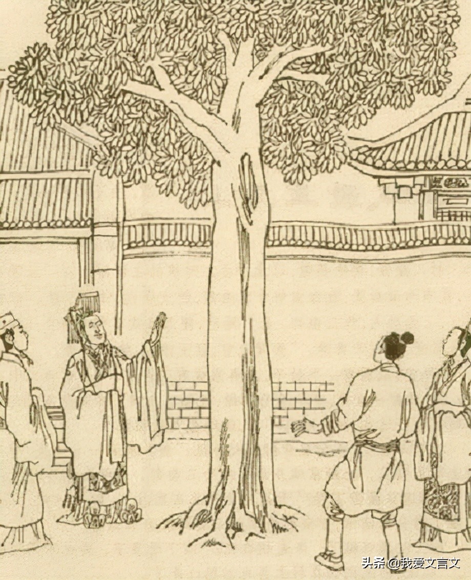 经典文言文赏析 | 斫树取果