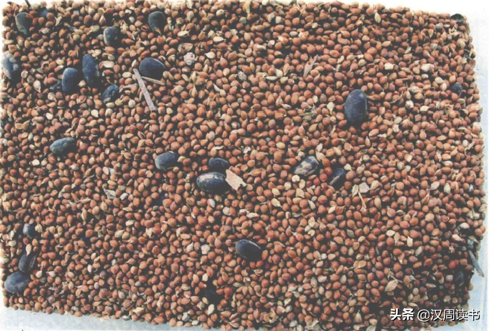 楚汉争霸的7个小故事