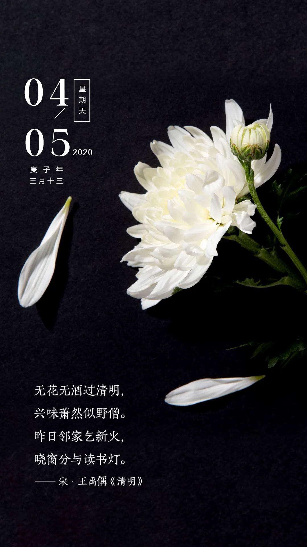 周末早上好正能量心语图片日签：在铺满阳光的早晨，随风起舞