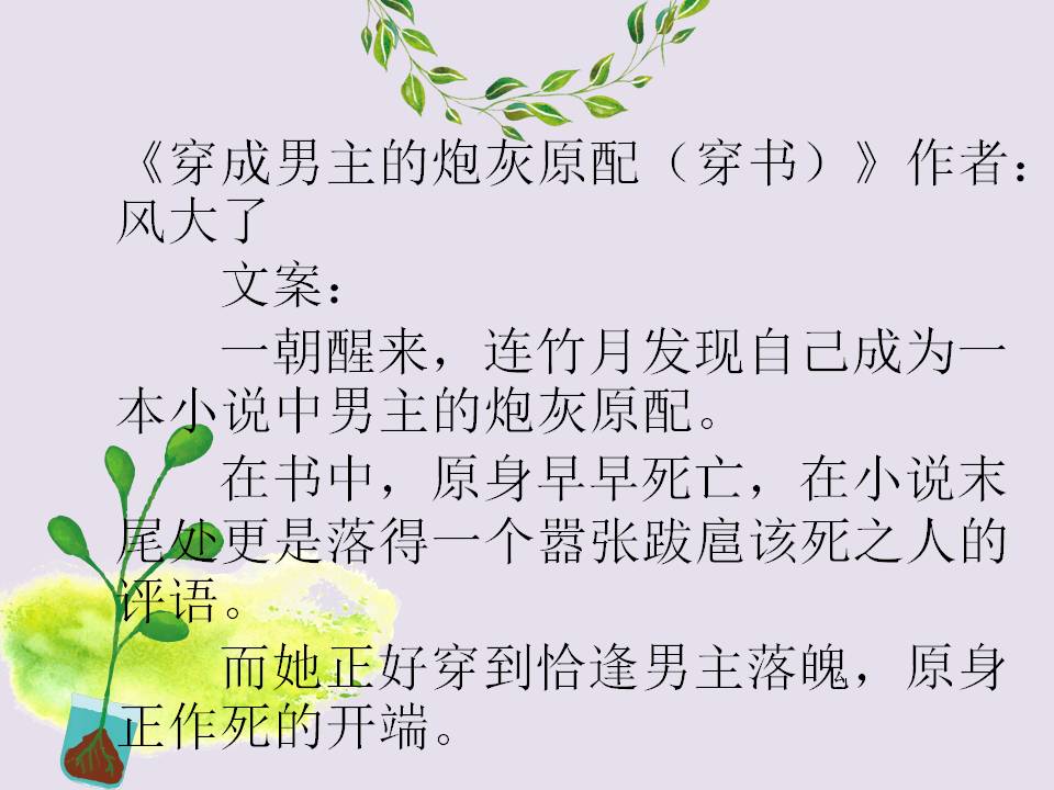 美人宠代理价格表（推文）