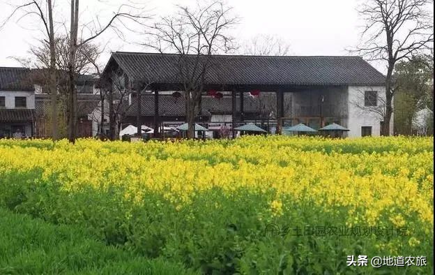 国内第一个盈利的田园综合体，看她有何绝招？