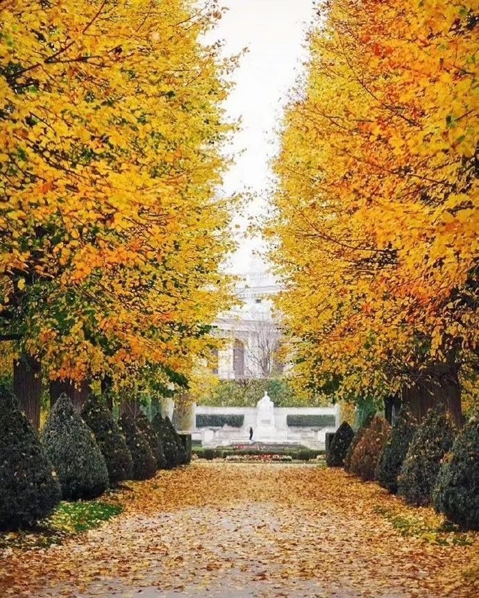 散文：余生，用人生理想，梦的丰满，对抗现实生活的骨感