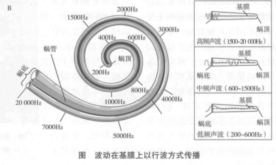 人工耳蝸手術價格30多萬人工耳蝸掉廁所