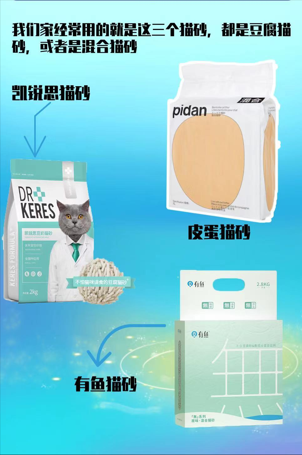 养猫一个月多少预算，新手养猫的注意事项？这些东西一定要注意