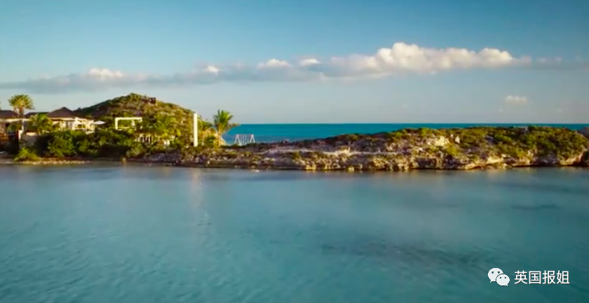 大律师的惹火宝贝全文（网飞大尺度恋爱真人秀）