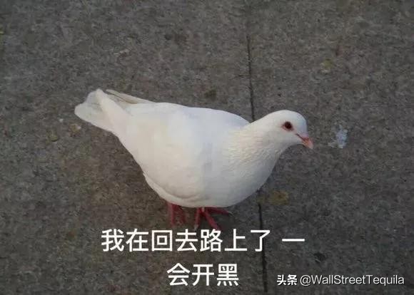 从娱乐圈到电竞圈，这个北大学姐有点性感