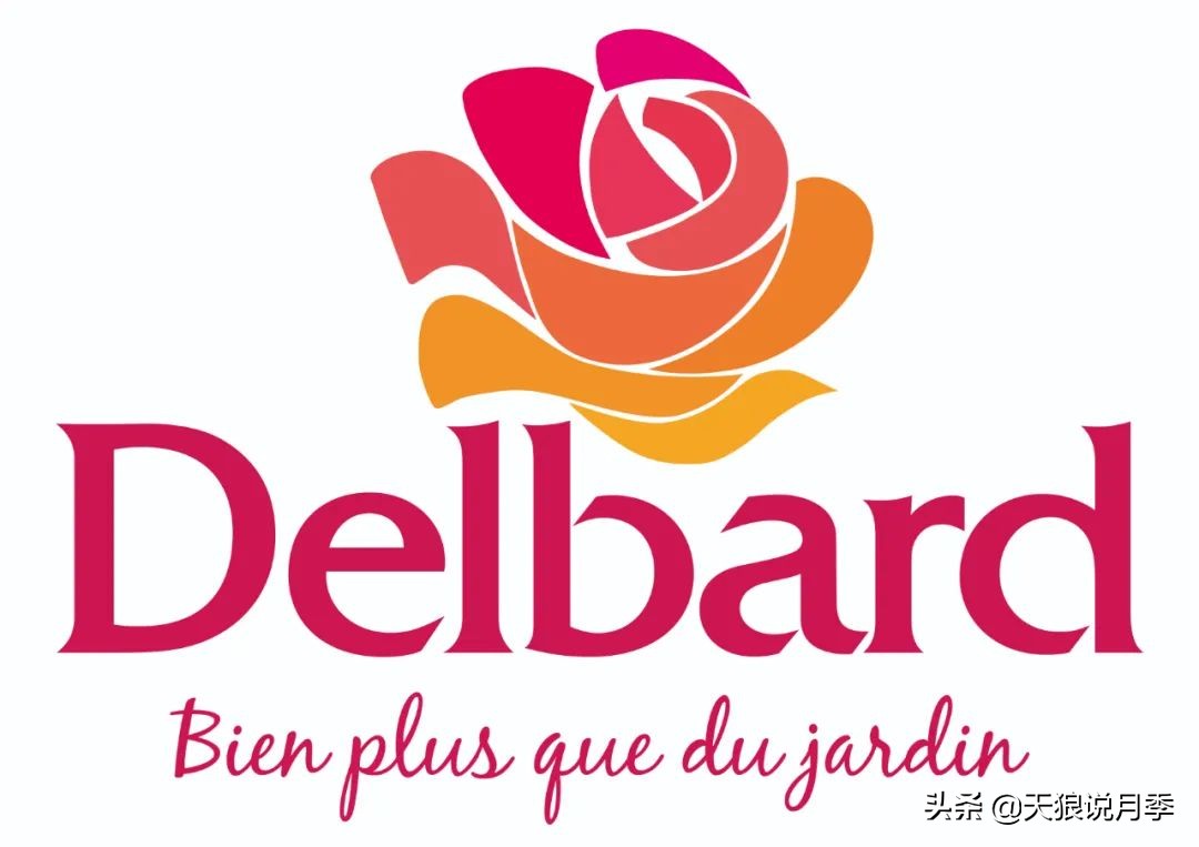 2020世界新品月季大赏，一起来看看都有哪些值得期待的新品种