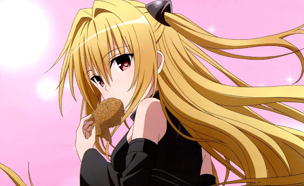 10年前的老司机们都看啥后宫动漫？比现在高了不止一点半点