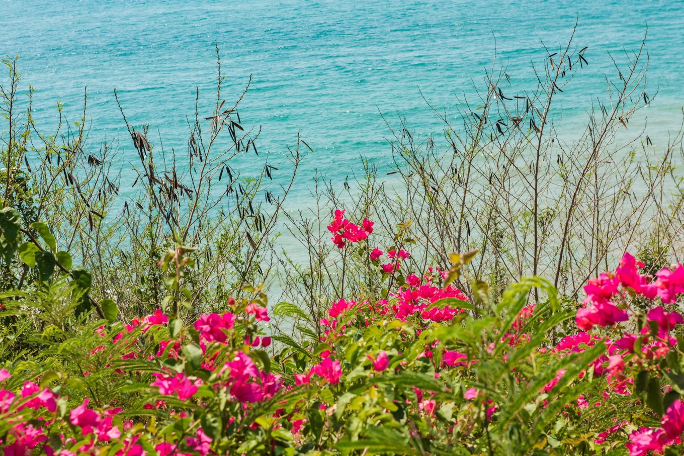去中国十大最美海岛-涠洲岛看一场浪漫的日出日落，环岛很享受