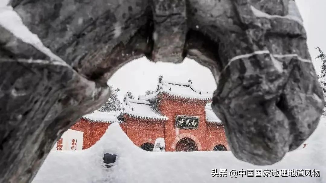 “中国人的老家”河南，会成为“北方第一强”吗？