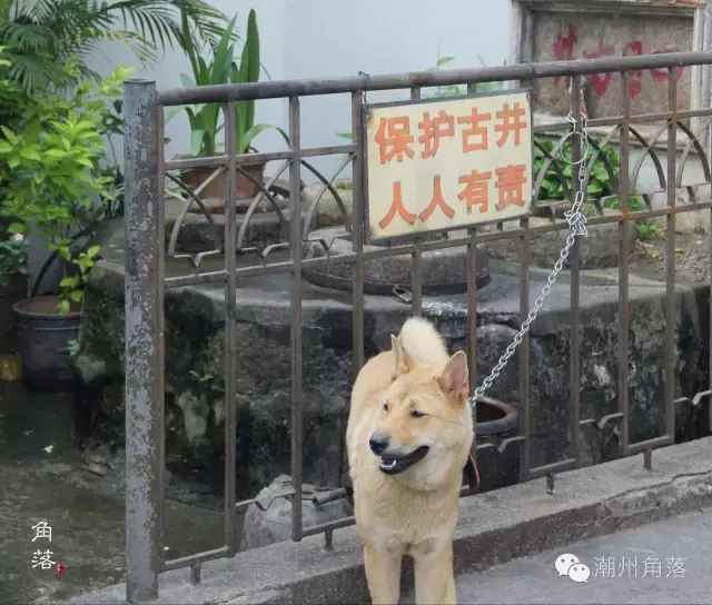 潮州城里，最不显眼却又可以称之为“眼”的，就是那一口水井了