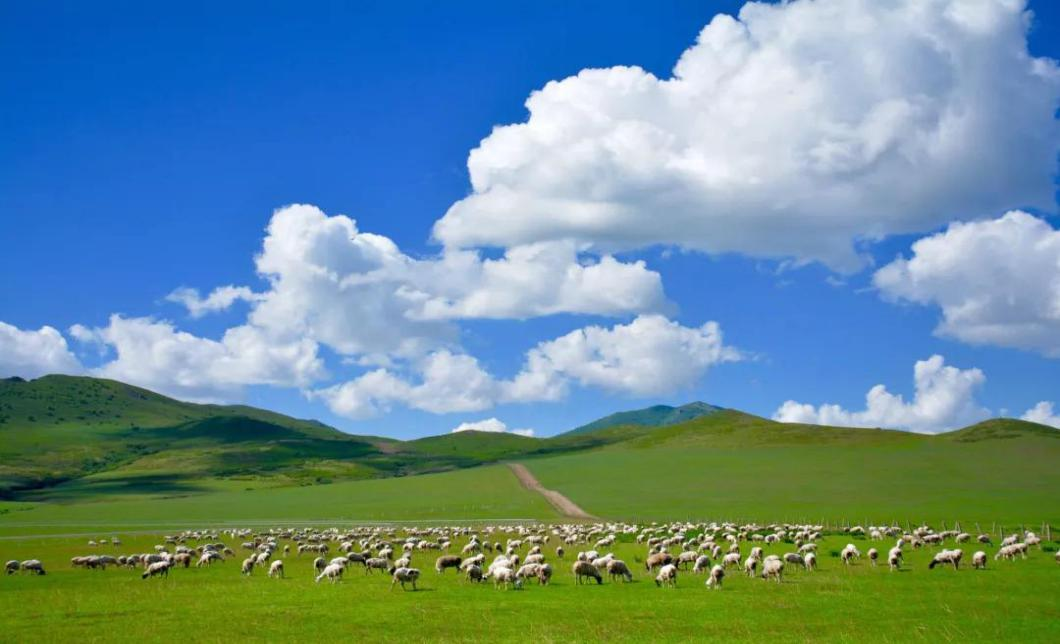 这些精品旅游线路，就是你爱上内蒙古的理由！