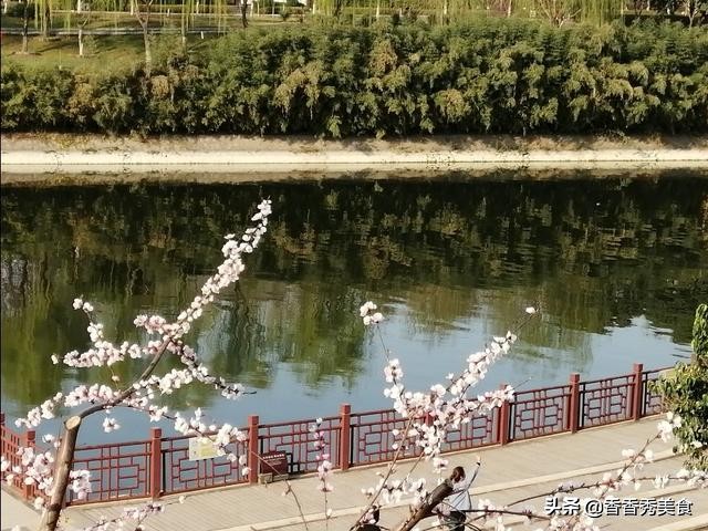 乱花渐欲迷人眼，一日看尽长安花