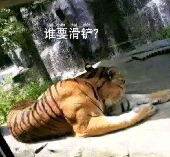 射箭三点一线怎么看(背把弓箭就能当猎人，你可能想多了，在古代狩猎可是真正技术活)