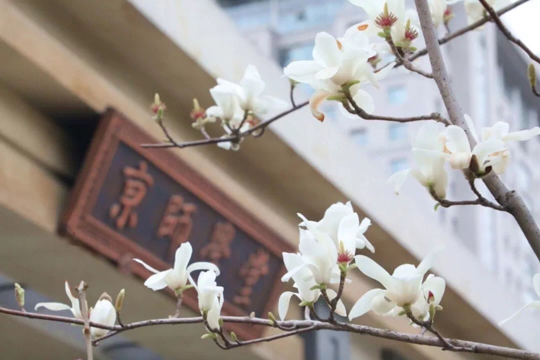 刚刚公布！QS2020年世界大学学科排名：北师大22个学科强势登榜！