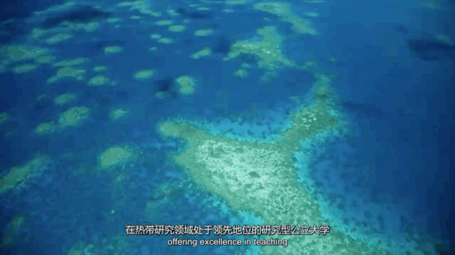 合作高校 | 詹姆斯库克大学新加坡校区——跻身全球前2%的顶尖学校