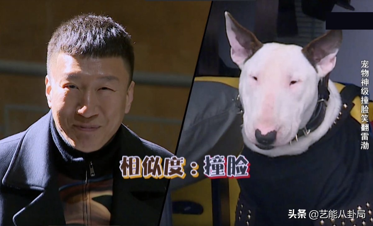 7位"撞脸"狗子的明星:不能说毫无关系,只能说一模一样