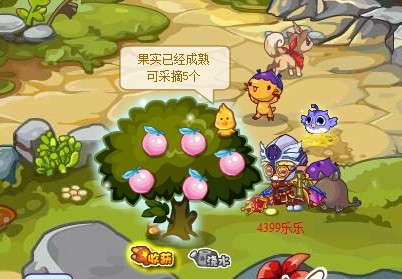 训练完成可以获得两个可可果实,那时已经是非常棒的啦,哈哈.