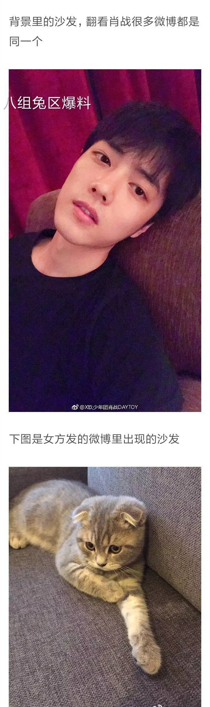 黄晓明林更新躺着也中枪，居然被她diss土死了