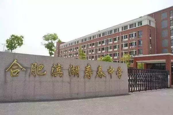 2019合肥12所民办校学费曝光！收费高=教学好？附两年学费对比