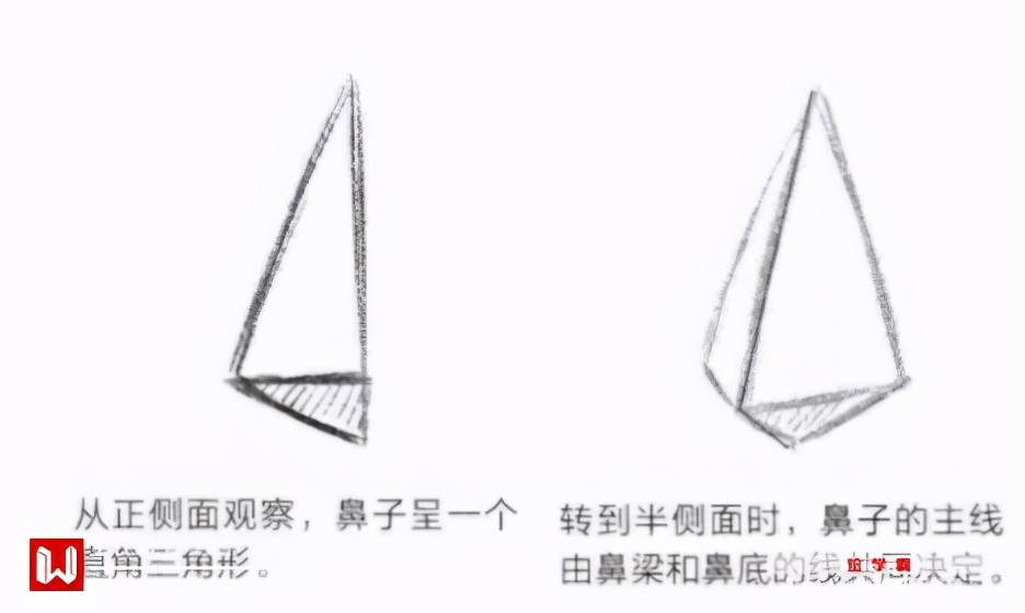 漫画鼻子怎么画简单又漂亮？鼻子动漫画法