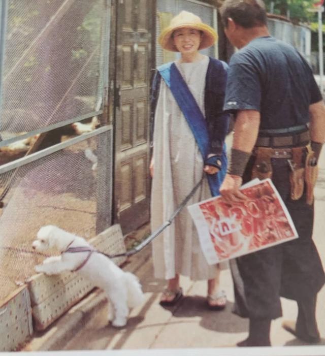 《这样就很幸福了》：学会建立五感愉悦幸福准则，开启疗愈新生活