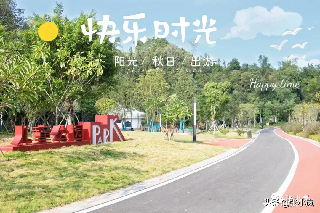 藏在韶关市中心森林里的儿童公园，大部分人都不知道，光速安排