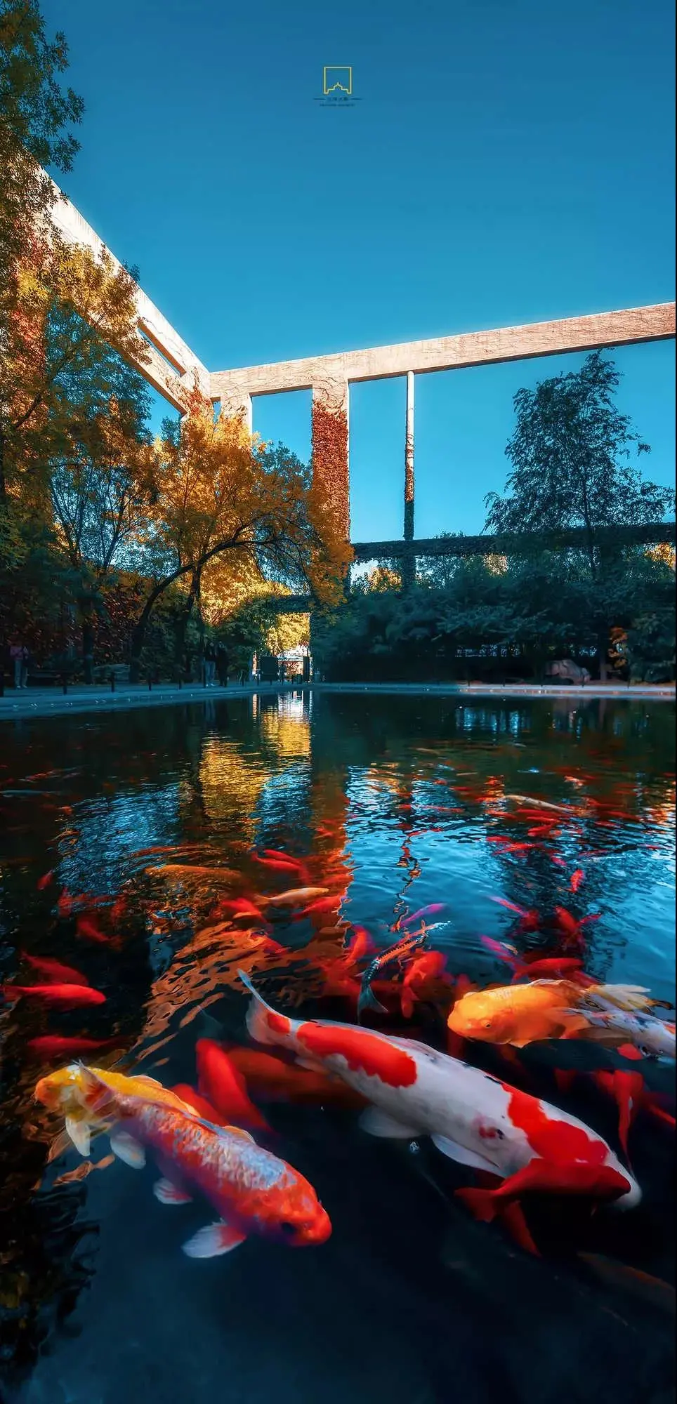 天津大学，为什么是中国最有“侠气”的大学？