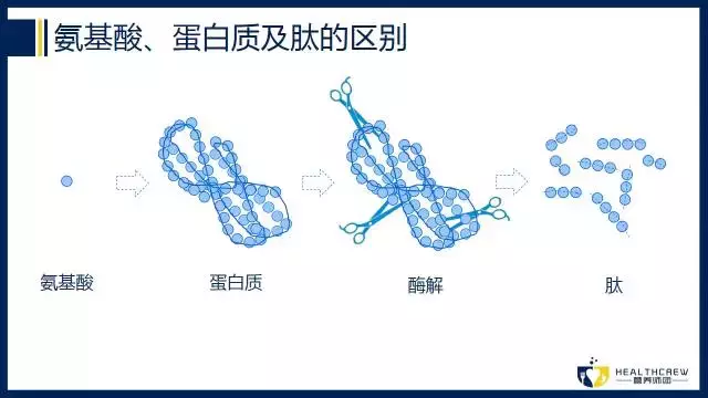 胶原蛋白肽怎么吃才是有效的？