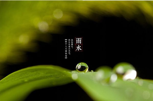 【诗词鉴赏】雨水至，一起品读雨水时节的古诗词吧！