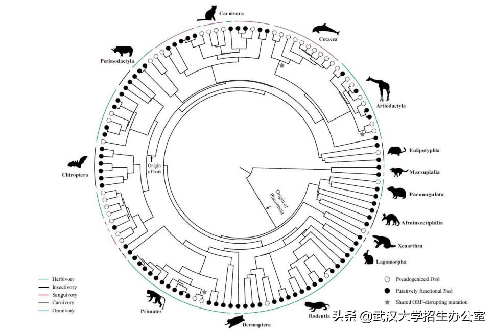 科研新进展！近期，武汉大学10项科研成果登上国际权威期刊
