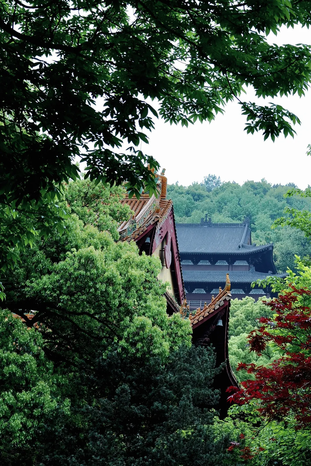 杭州终极拜佛攻略｜走这条路，一天解锁灵隐法喜7大宝藏寺庙