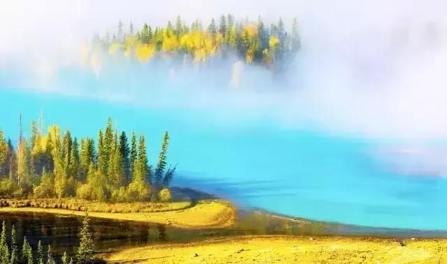 每日一诗《小池》赏析